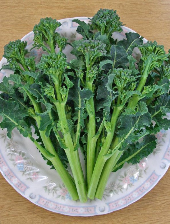 Çin Brokoli Tohumu Nadir Çin Brokolisi Tohumu 5 Tohum+ Tohu - 1