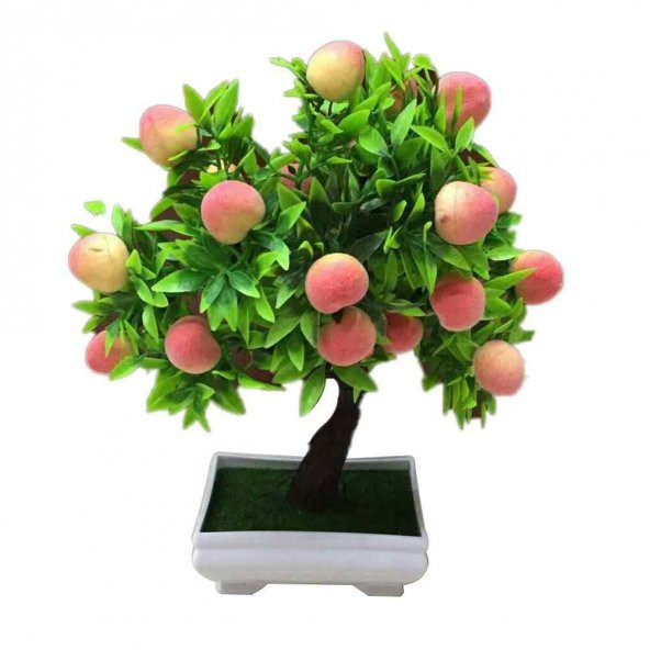Bodur Bonsai Şeftali Ağacı Tohumu 1Tohum + Tohum