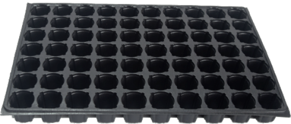 40 Adet 72 Lik Viyol Fide Çimlendirme Viyolü + Tohum