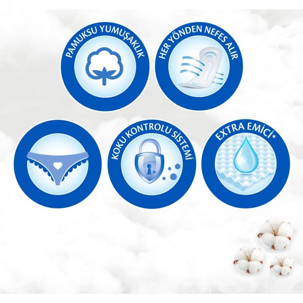 Molped Ekonomik İlk&Son Gün Günlük Ped Uzun 28 Adet - Resim 2