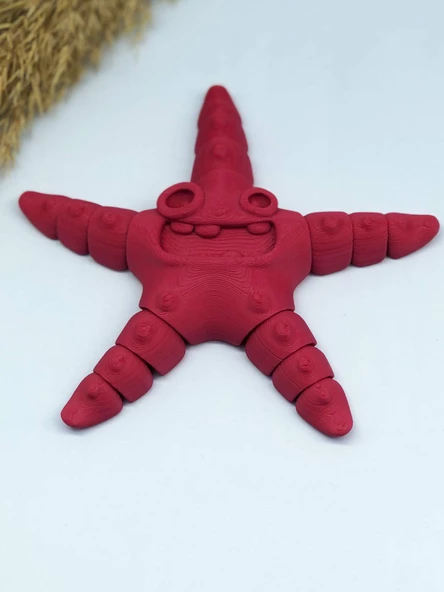 3D Hareketli Deniz Yıldızı Oyuncak - Kırmızı - 2
