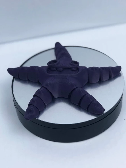 3D Hareketli Deniz Yıldızı Oyuncak - Mor ürün görseli 1