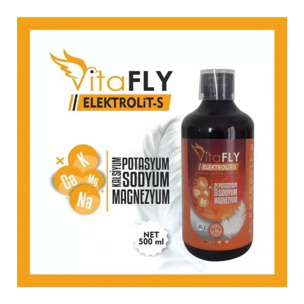VitaFLY ELEKTROLİT-S 500 ml -Enerji Verir-İshal Önler