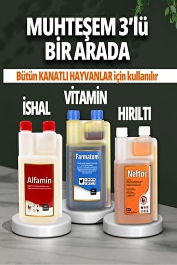 Malatya Yem 3lü Set Kuşlar Için Farmatom Vitamin Alfamin Ishal Neftor Hırıltı Seti (500 Ml)