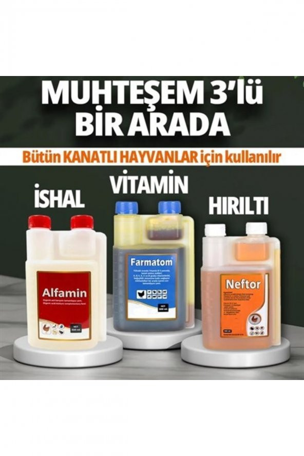 Farmatom Vitamin-neftor Hırıltı-alfamin Ishal 3 Adet 500ml