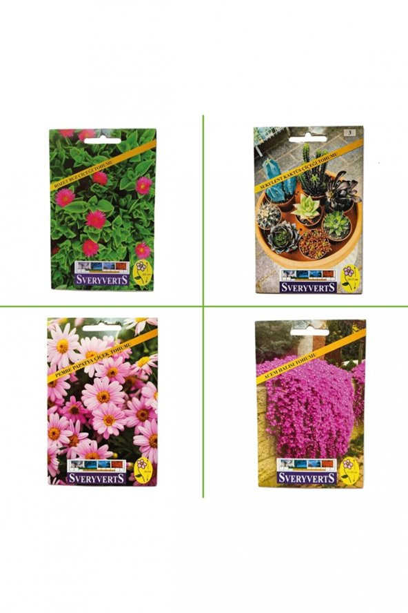 4lü Special Seri (Rozet Buz - Sukulent Kaktüs - Pembe Papatya - Acem Halısı Çiçeği Tohumları)
