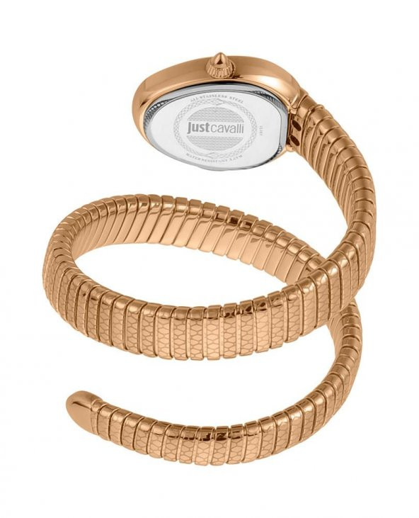 Just Cavalli JC1L167M0045 Kadın Kol Saati - 3