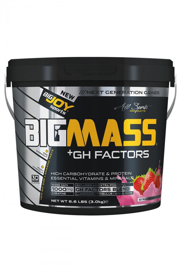 BIGJOY BigMass Gainer+GH FACTORS 3 KG ÇİLEK