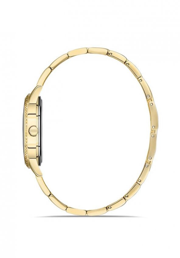 Momentus SW291G-02SG Bayan Kol Saati - 2