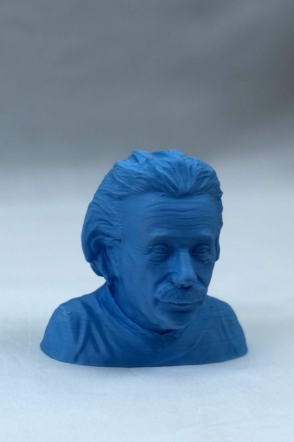 3D Albert Einstein Büstü