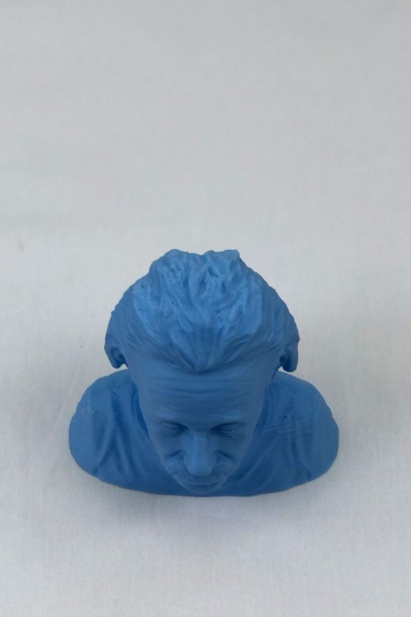 3D Albert Einstein Büstü - 3