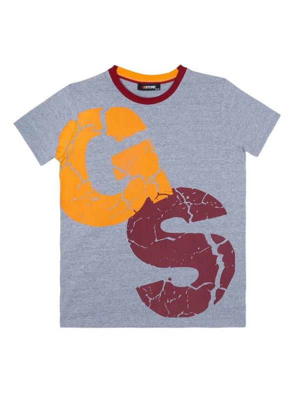 Galatasaray Çocuk Lisanslı Armalı Gri Tshirt C13708