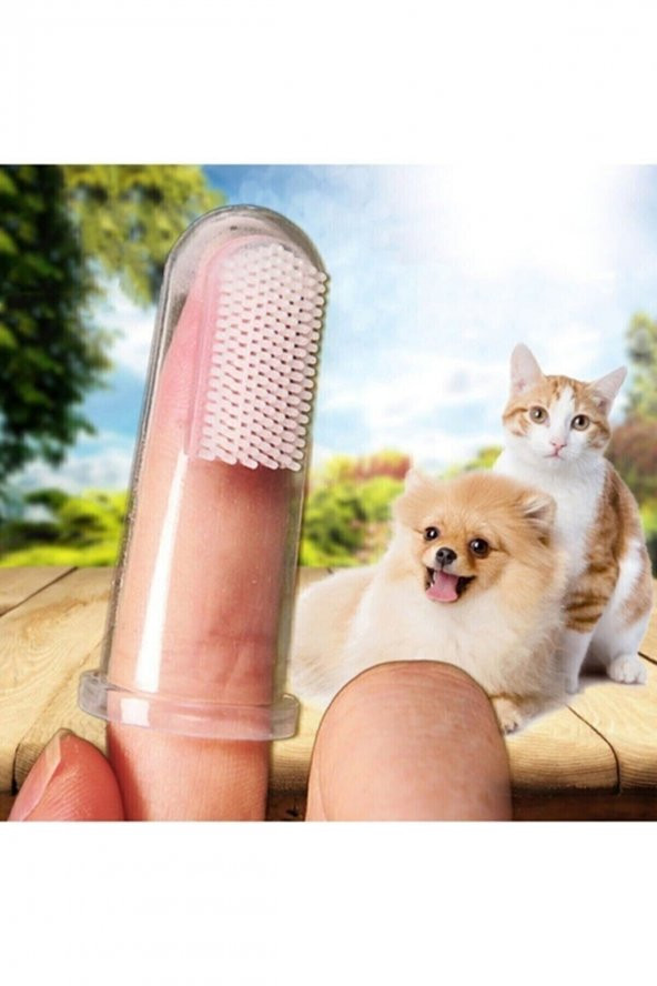 Kedi Ve Köpek Parmak Diş Fırçası (Saklama Kutulu) Kolay Kullanımlı Evcil Hayvan Diş Bakım Fırçası