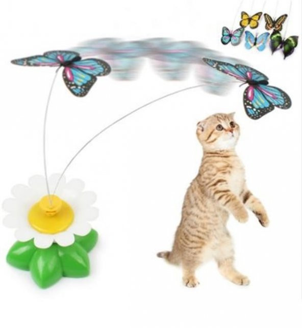 BUFFER&reg Hareketli Dönen Kelebek - Kedi Oyuncağı ( Pille Çalışır)