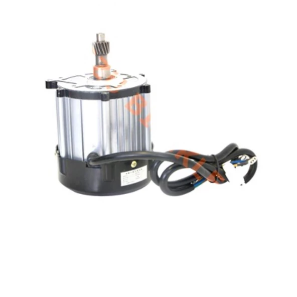 Elektrikli Üç Tekerli Dc Motor 60-1200 W - 1