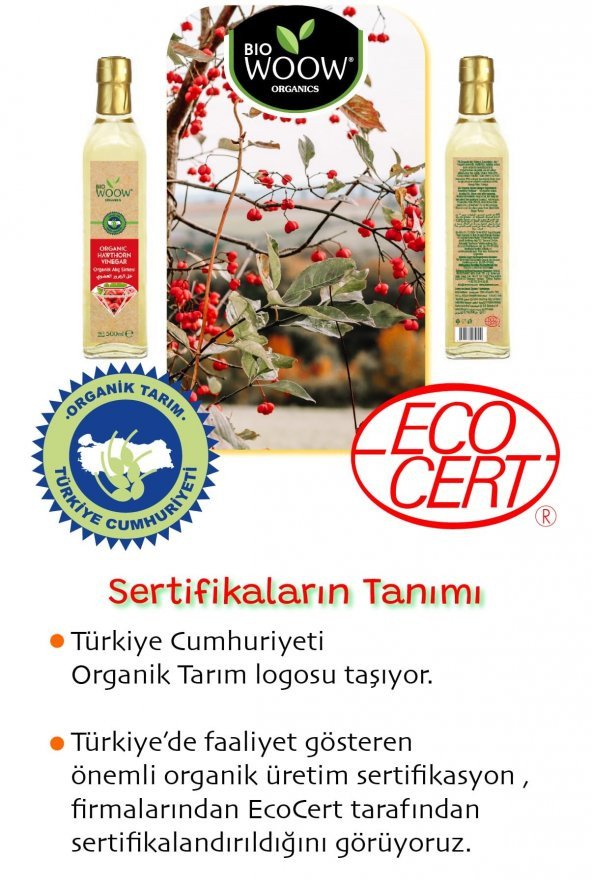 ORGANİK ALIÇ SİRKESİ 500 ML - 5
