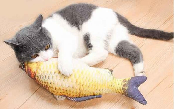 Hareketli Balık Kedi Oyuncağı Şarjlı