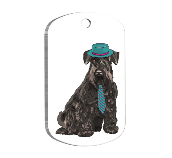 Schnauzer Resimli Köpek Künyesi