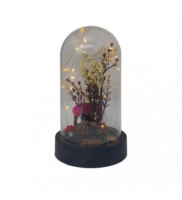 Sevgiliye Aşk Bahçesi Işıklı Teraryum Fanus - Resim 3