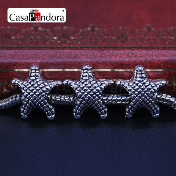 Worldshop GÜMÜŞ ^YILDIZ^ CHARM,  CHARM BİLEKLİK UYUMLU - 2