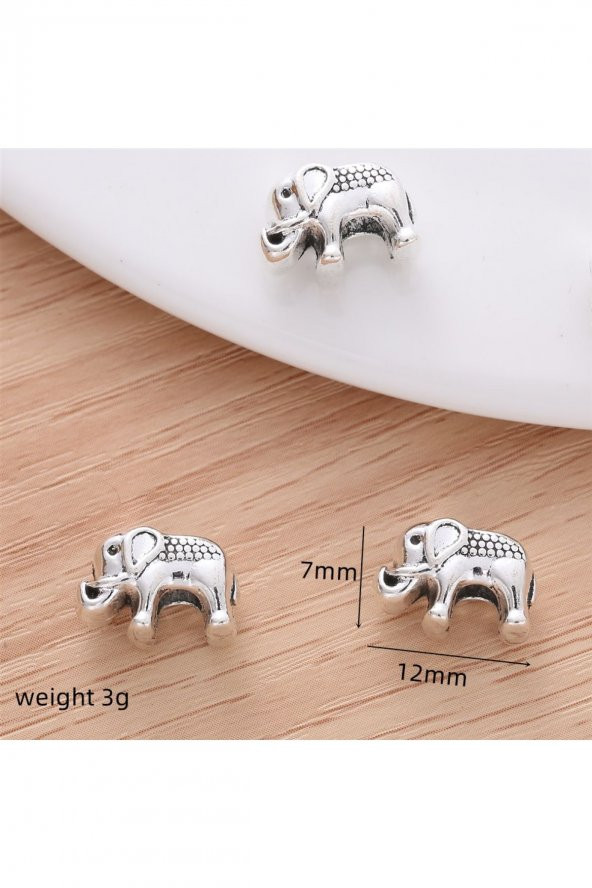 Worldshop PANDORA CHARM BİLEKLİK UYUMLU GÜMÜŞ  CHARM ürün görseli 1