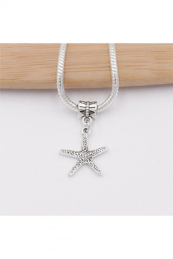 Worldshop PANDORA CHARM BİLEKLİK UYUMLU GÜMÜŞ  CHARM - 2