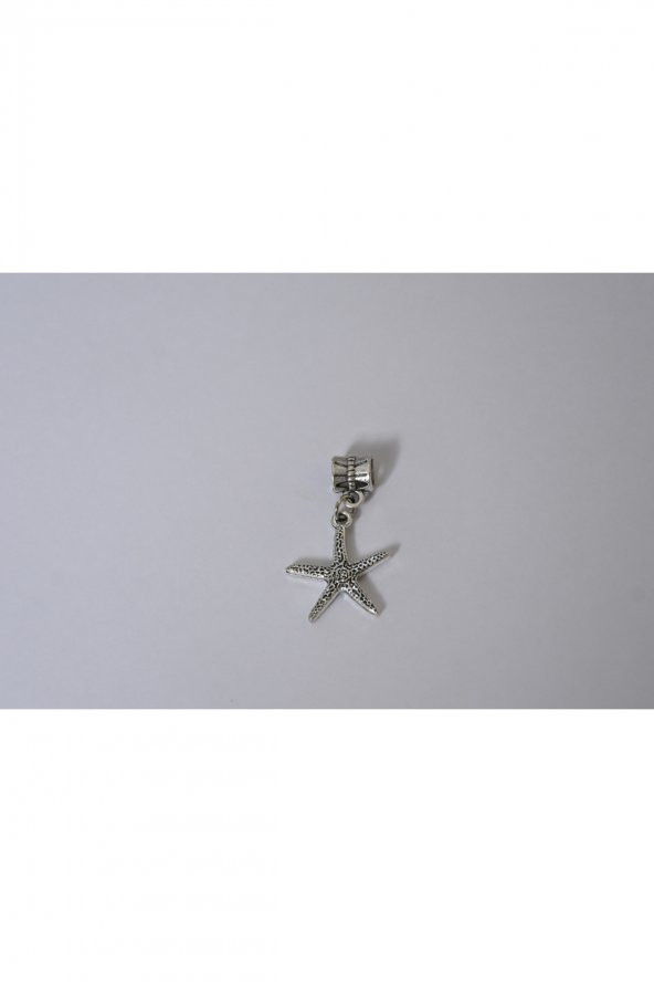 Worldshop Pandora, Charm Bileklik Uyumlu, Gümüş, Charm - 1