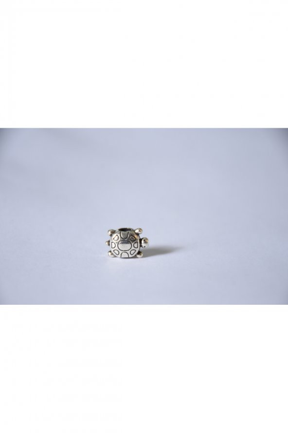 Worldshop Pandora, Charm Bileklik Uyumlu, Gümüş, Charm ürün görseli 1