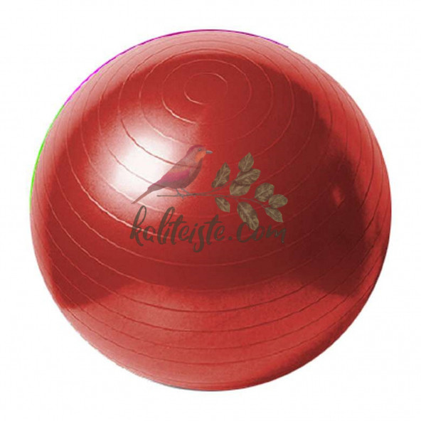 Pilates Topu 20 Cm - 2