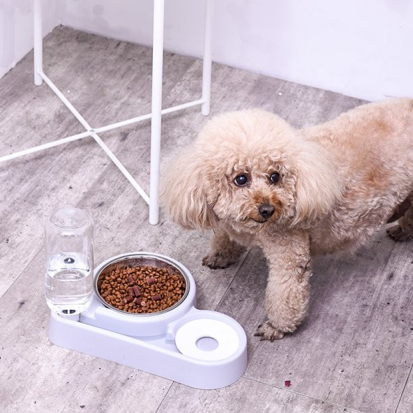 Mikopet Otomatik Su Sebilli Mama Kabı-Gri - 8