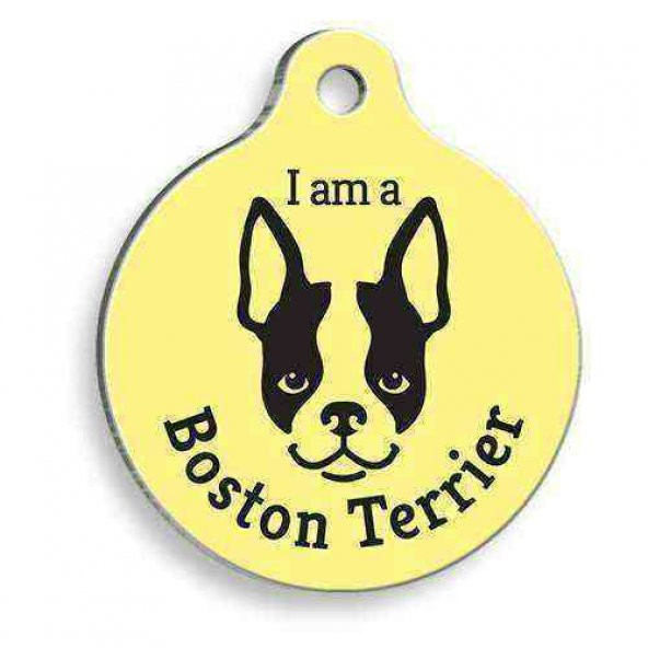 Sarı Boston Terrier Yuvarlak Köpek Künyesi