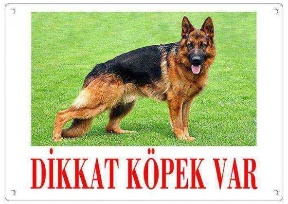 Dikkat Köpek Var Uyarı Levhası (Renkli Alman Kurdu)