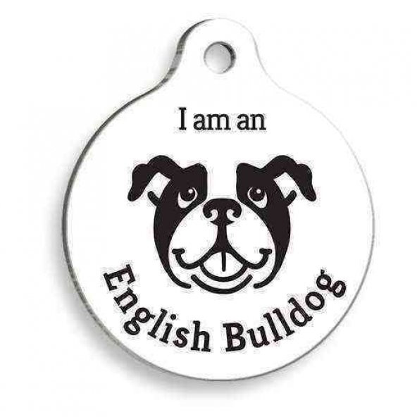 Beyaz English Bulldog Yuvarlak Köpek Künyesi