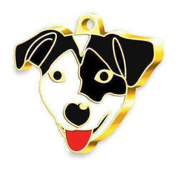 Altın Kaplama Jack Russel Köpek Künyesi (Siyah Maskeli)
