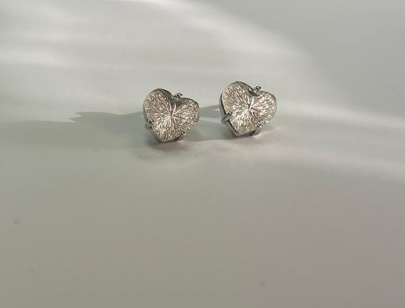 SilverPoint Kalp Detay Taşlı Küpe - 2