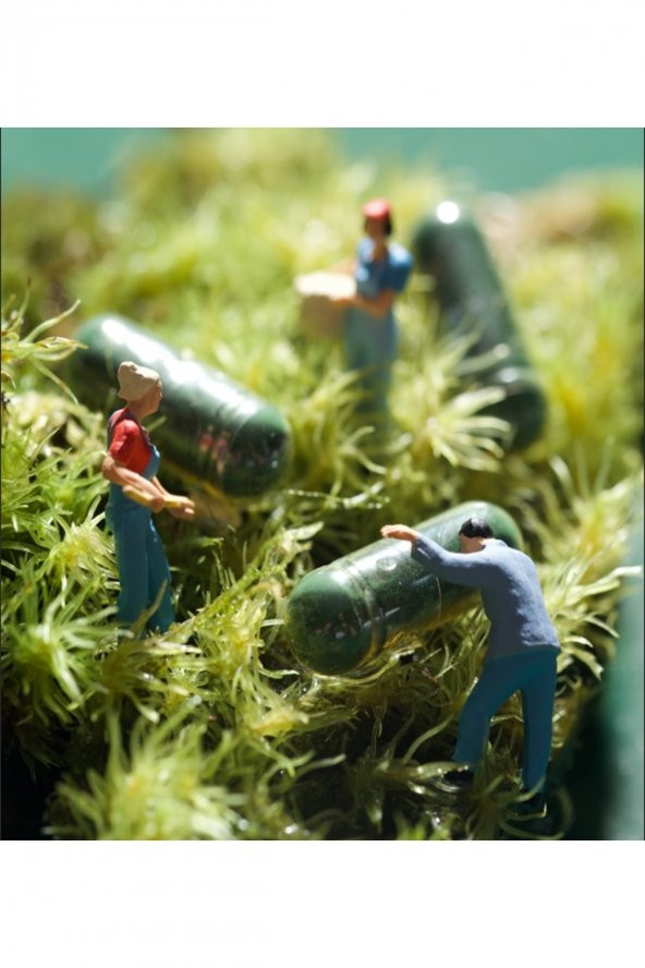 Tiens  Spirulina Içeren Kapsül Takviye Edici Gıda - 3