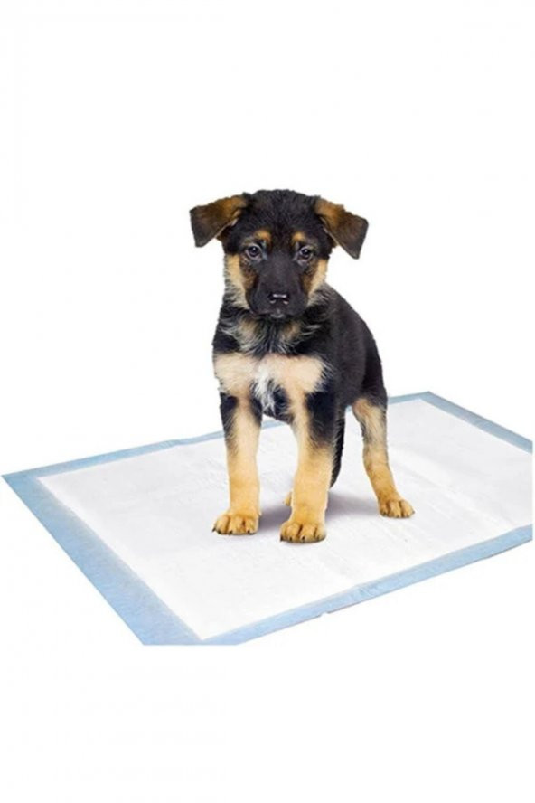 MEDİBOX 30 Lu Köpekler Ve Kediler Için Tuvalet Pedi Süper Emici Yatak Koruyucu Serme Bezi 60x90 Cm