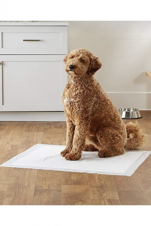 Köpek Kokusuz Çiş Pedi 60x90 Cm 10lu Paket