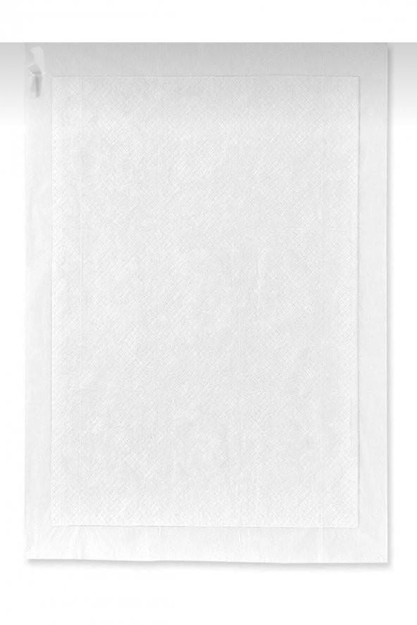 Köpek Kokusuz Çiş Pedi 60x90 Cm 10lu Paket - 2