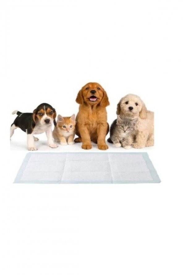 Kedi Köpek Çiş Pedi Yatak Koruyucu Örtü 60x90cm 10lu 3 Paket - 2