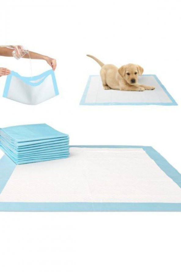 Kedi Köpek Çiş Pedi Süper Emici - 2