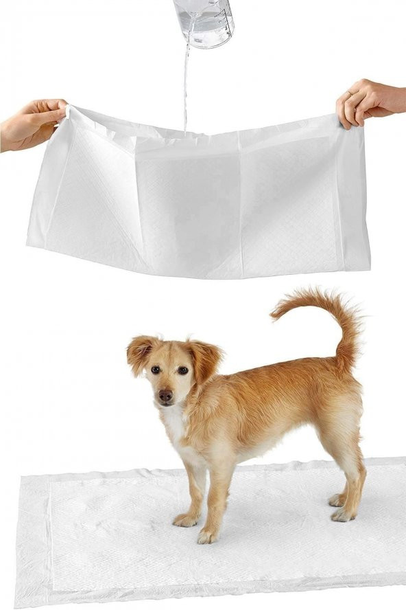 Köpek Çiş Pedi 30lu Paket Çabuk Kuruyan Sızdırmaz Katmanlı Köpek Tuvalet Eğitimi 60x90cm