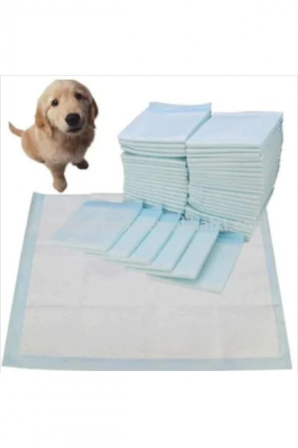 Kedi Köpek Çiş Pedi 60x90 Cm 20li 6 Paket 120 Adet