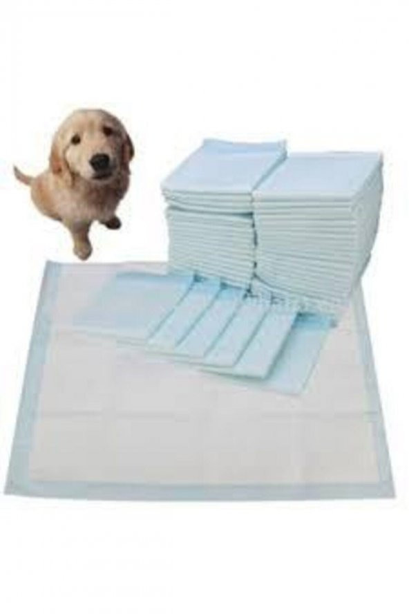 Köpek Çiş Pedi 60 Lı 60x90