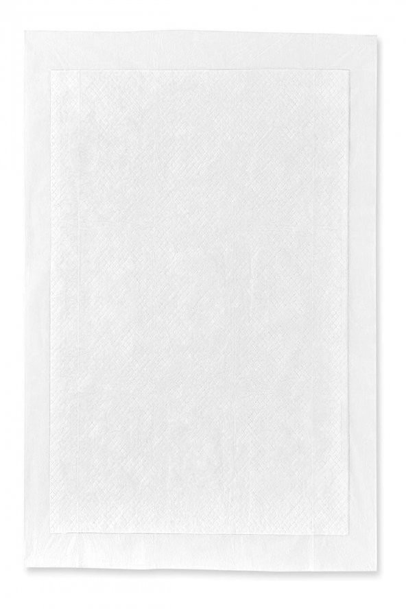 Köpek Çiş Pedi 120li Paket Çabuk Kuruyan Sızdırmaz Katmanlı Köpek Tuvalet Eğitimi 60x90cm - 2