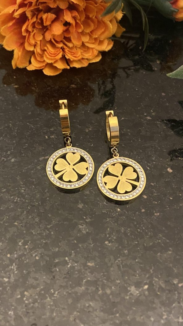 Aksesuar Çarşısı Zirkon Taş Yonca Küpe - Resim 2