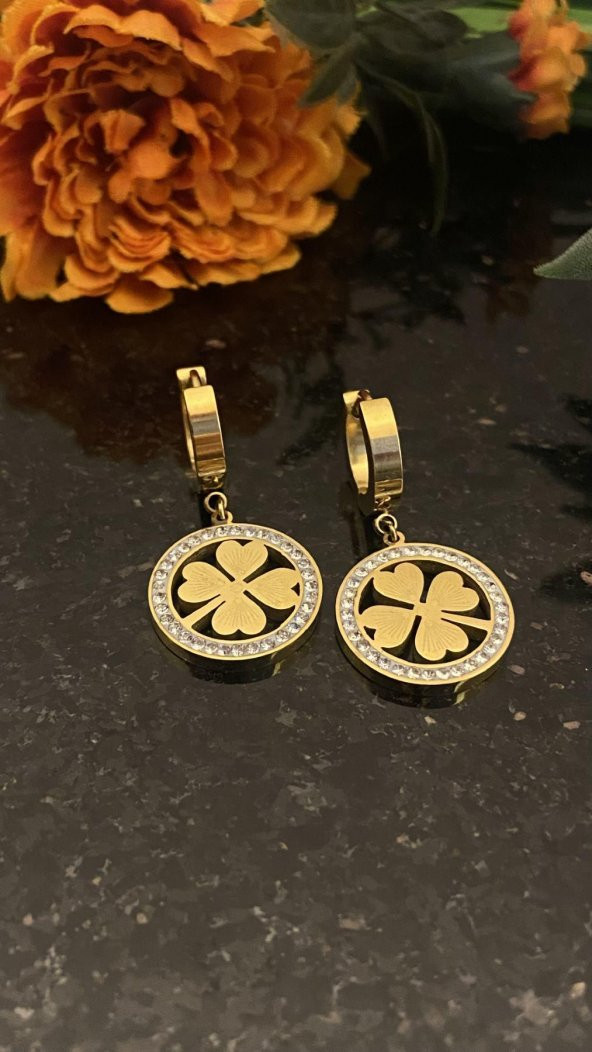 Aksesuar Çarşısı Zirkon Taş Yonca Küpe - Resim 3