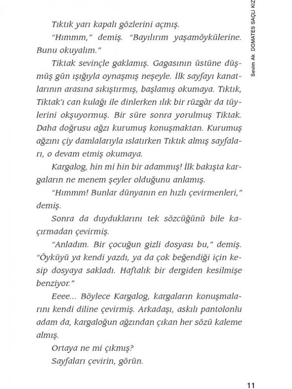 Domates Saçlı Kız - Sevim Ak - Resim 2