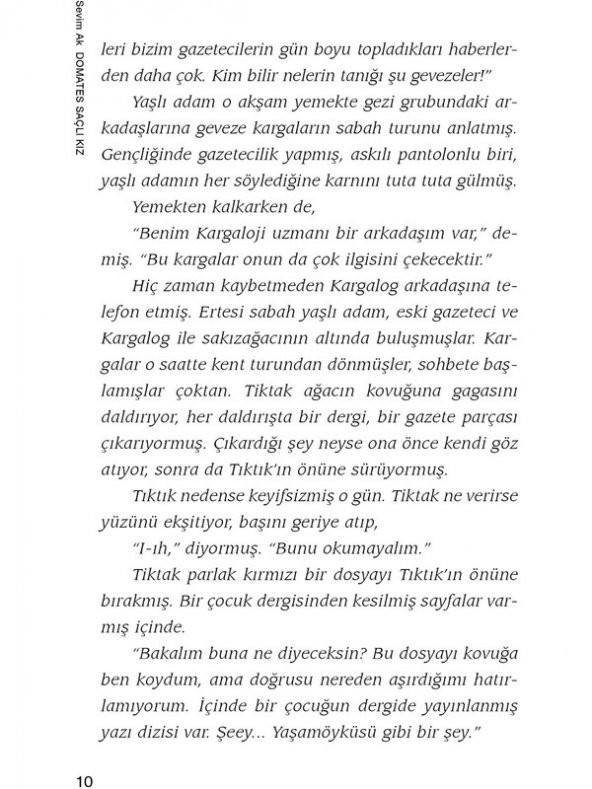 Domates Saçlı Kız - Sevim Ak - Resim 3