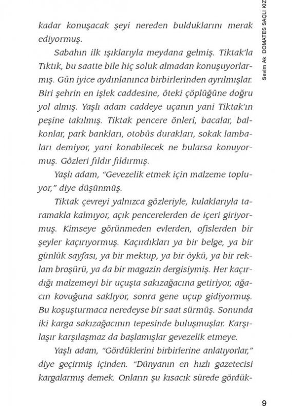 Domates Saçlı Kız - Sevim Ak - Resim 4